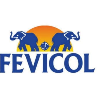 Fevicol logo from supplied materials board